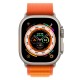 Apple Watch Alpine Loop Turuncu