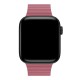 Apple Watch Fan Loop Pembe